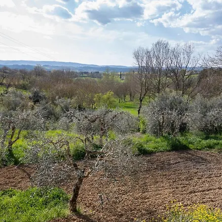 Casa Belvedere * Foiano Della Chiana