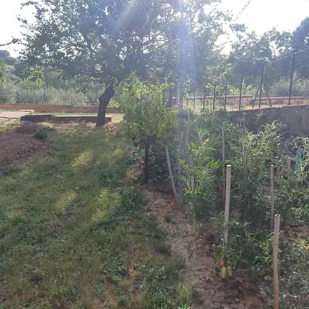 Casa Belvedere * פויאנו דלה קיאנה